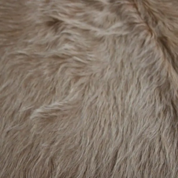 Cowhide Rug Exotic Beige C01056