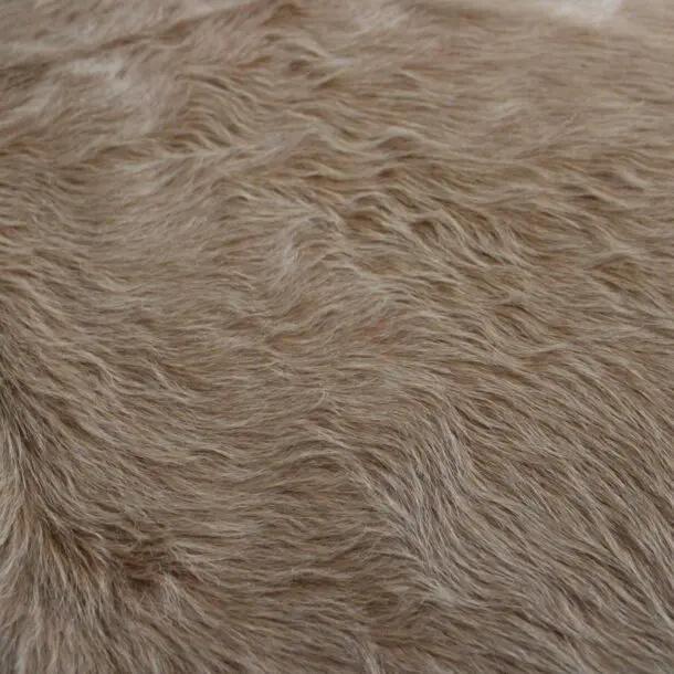 Cowhide Rug Exotic Beige C01056