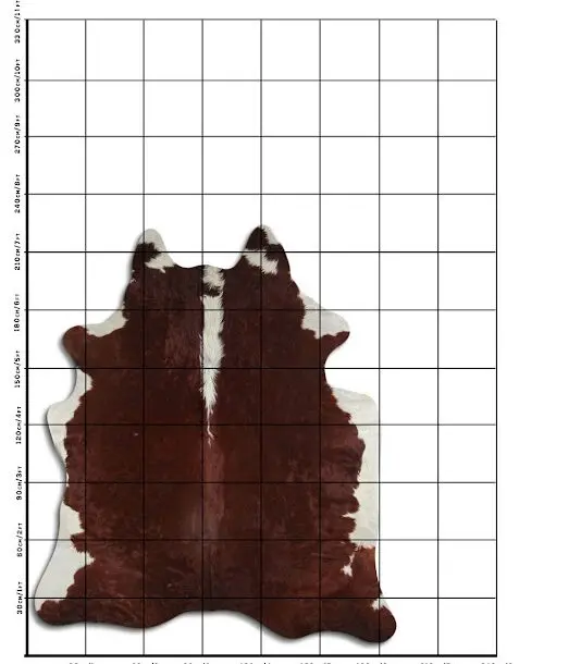 Cowhide Rug Exotic C01057