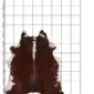 Natural cowhide rug with dark brown and white patches, displayed .