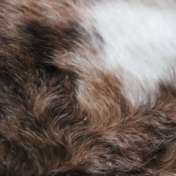 Cowhide Rug Exotic C01058