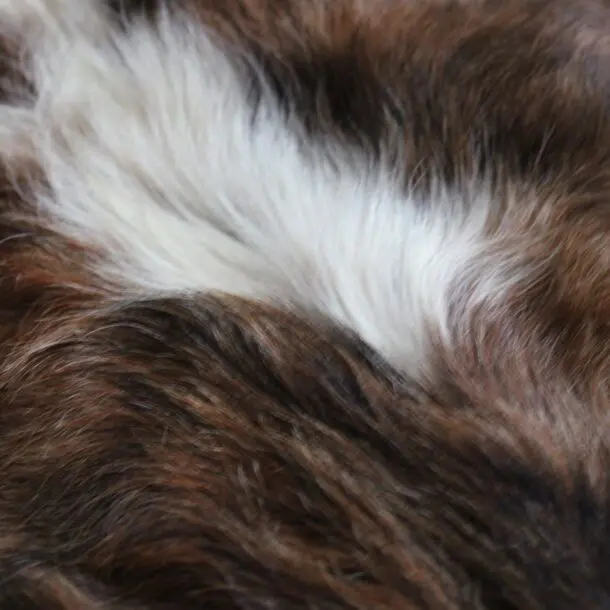 Cowhide Rug Exotic C01058
