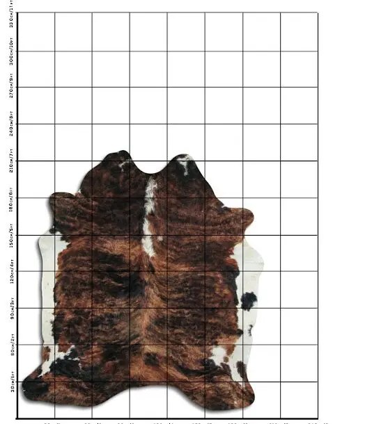 Cowhide Rug Exotic C01058