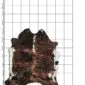 Cowhide Rug C01058 a (3) Natural cowhide rug with dark brown and black brindle patterns and white edges, displayed on a grid background.