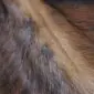 Close-up of a cowhide rug featuring textured brown, tan, and black natural animal hair.