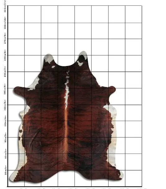 Cowhide Rug Exotic C01059