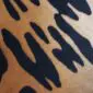 Close-up of a jaguar print cowhide rug showing black spots on a tan and orange textured hair-on-hide surface.
