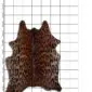 Natural shaped cowhide rug with a brown and black jaguar animal print pattern.