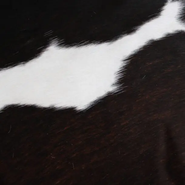 Cowhide Rug Exotic C01063