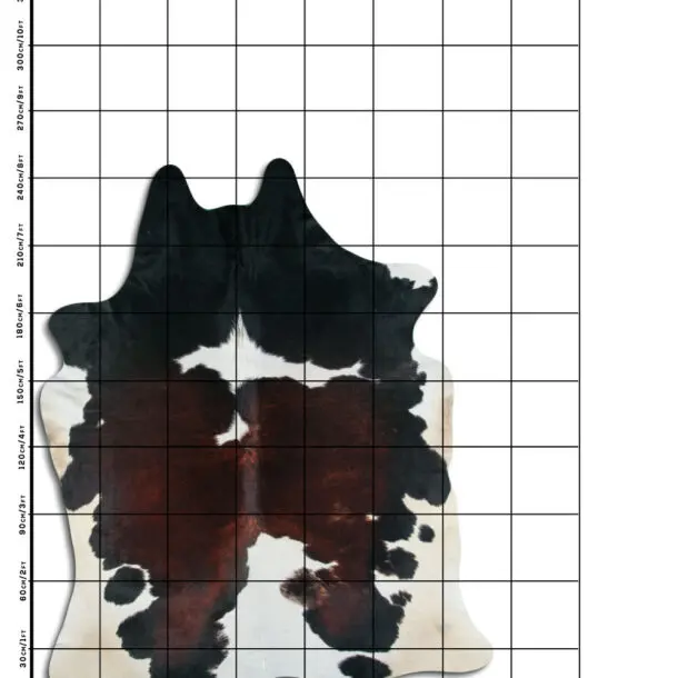 Cowhide Rug Exotic C01063