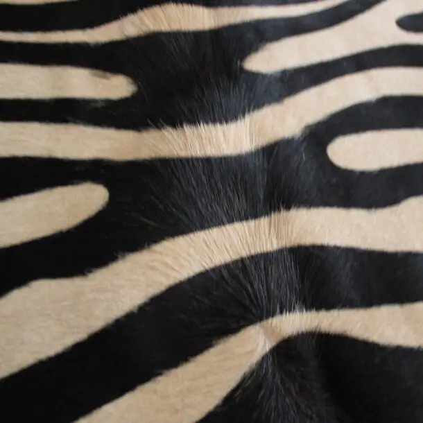 Zebra Print Cowhide Rug C01065
