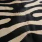 Close-up of a cowhide rug featuring a black and cream zebra print pattern.