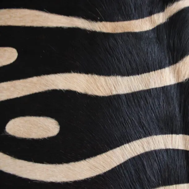 Zebra Print Cowhide Rug C01065