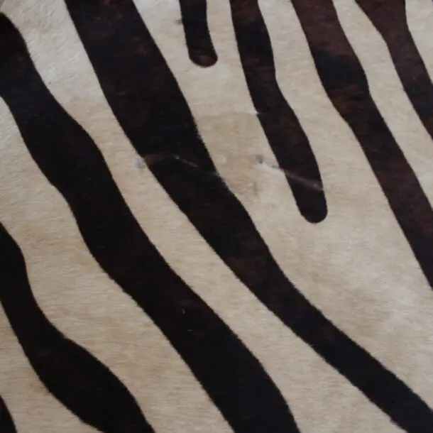 Zebra Print Cowhide Rug C01066