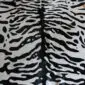 Close-up of a cowhide rug featuring a black and white tiger print pattern.