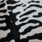 Close-up of a cowhide rug with a black and white tiger print pattern.