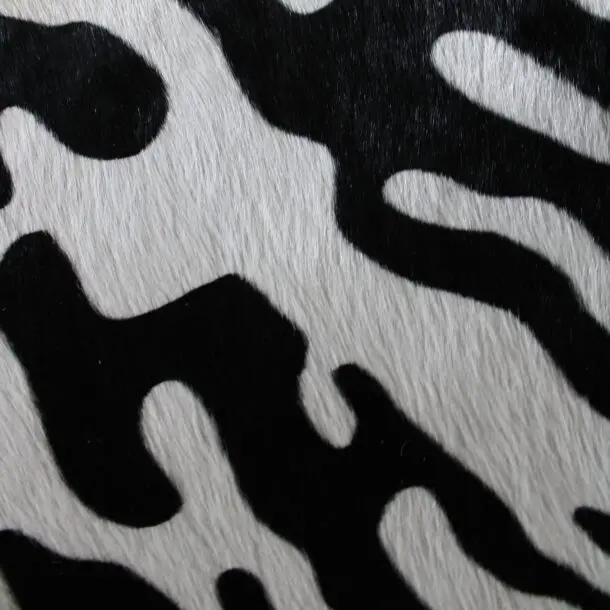 Cowhide Rug Tiger Print C01068