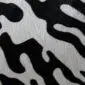 Close-up of a cowhide rug featuring a black and white tiger print pattern with visible hair texture.