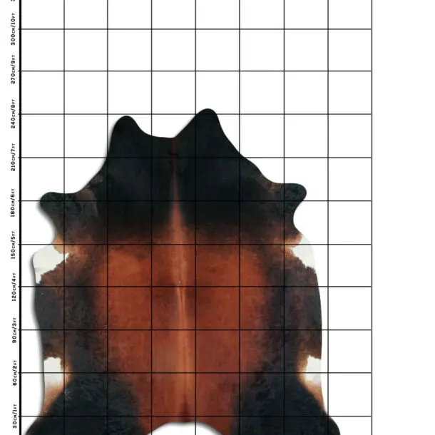 Cowhide Rug Exotic C01069