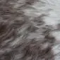 Cowhide Rug C01070 (1) Close-up of a speckled cowhide rug with natural grey and white textured fur.