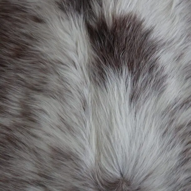 Cowhide Rug Speckled C01070