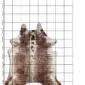 Cowhide Rug C01070 a (2) Natural cowhide rug with brown and white speckled patterns, displayed on a measuring grid.