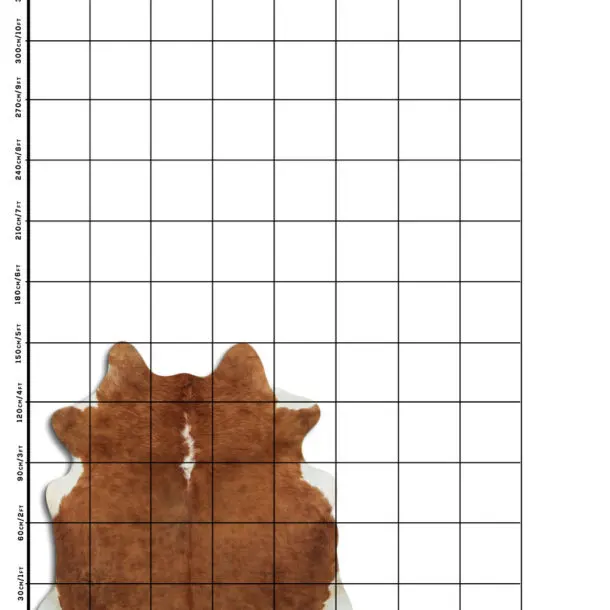 Cowhide Rug Exotic C01071