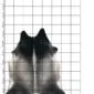 Natural cowhide rug with grey, black, and white mottled patterns, shown on a measurement grid.