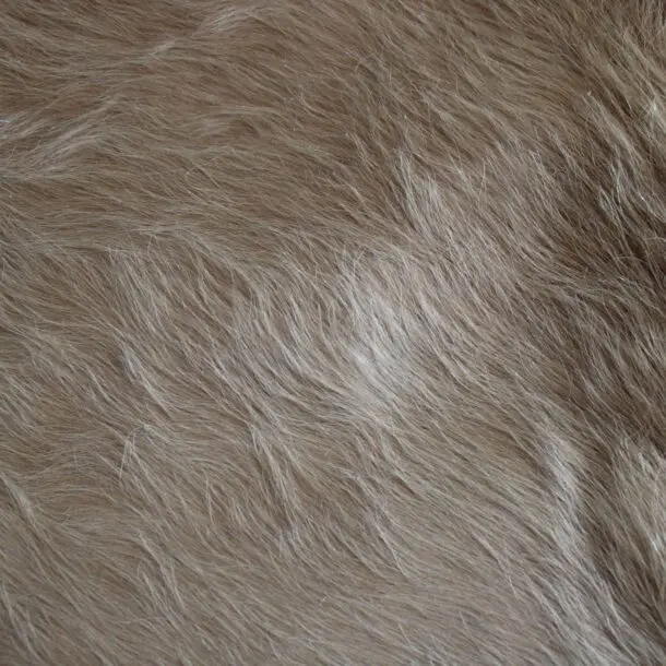 Cowhide Rug Exotic Beige C01073