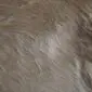 Close-up of beige and brown cowhide rug showing natural hair texture and colour variations.