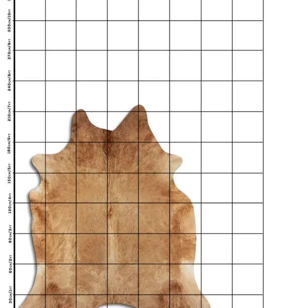 Cowhide Rug Exotic Beige C01073