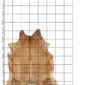 Natural shaped cowhide rug in beige and light brown tones, displayed over a black and white measurement grid.