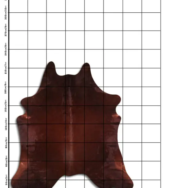 Cowhide Rug Brown C01074