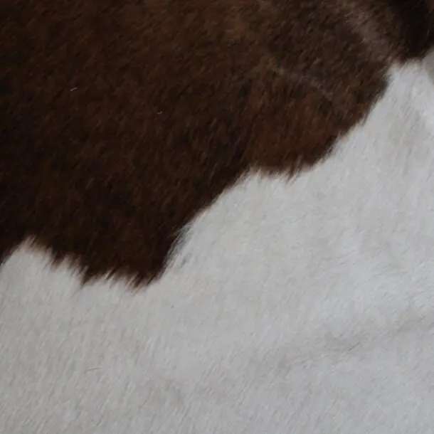 Cowhide Rug Brown and White C01076