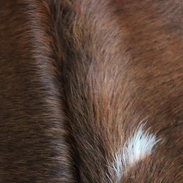 Cowhide Rug Brown and White C01076