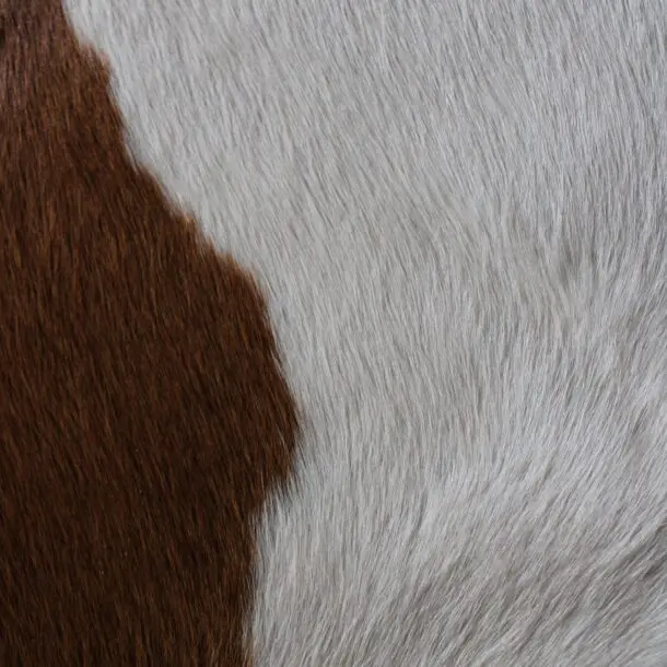 Cowhide Rug Brown and White C01076