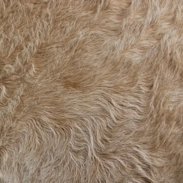 Cowhide Rug Exotic Beige C01077