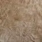 Cowhide Rug C01077 (2) Close-up of a beige cowhide rug showing the natural texture and direction of the short hair.