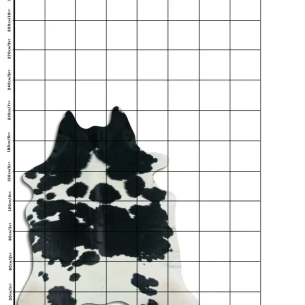 Cowhide Rug Black and White C01078