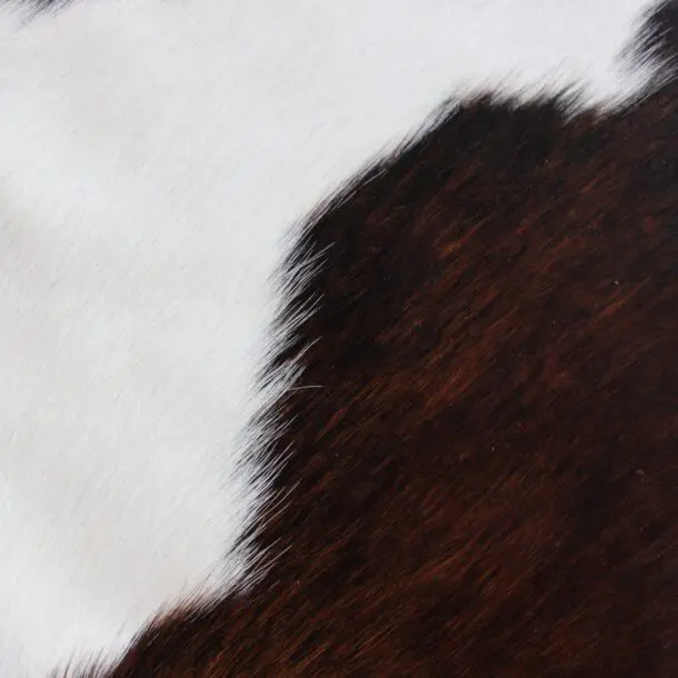 Cowhide Rug Exotic C01080