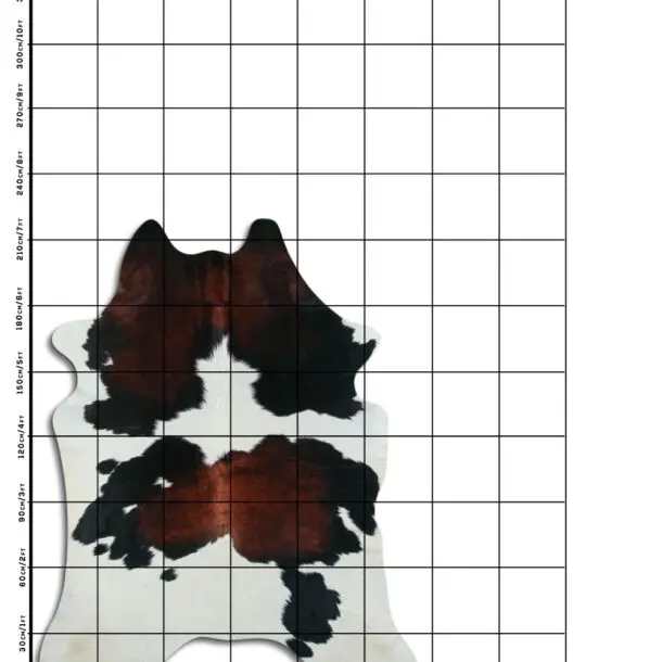 Cowhide Rug Exotic C01080