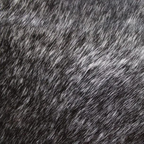Cowhide Rug Speckled C01081