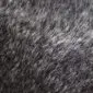 Close-up of a speckled cowhide rug showing grey and white hair texture.