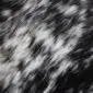 Close-up of a cowhide rug with a speckled black and white natural hair pattern.