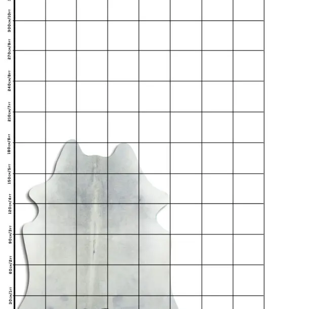 Cowhide Rug Grey C01083