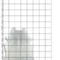 Natural grey cowhide rug with an irregular shape and mottled texture, displayed on a white grid background.