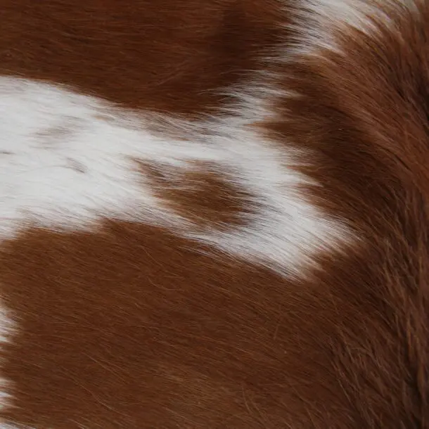 Cowhide Rug Brown and White C01084