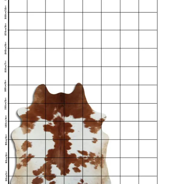 Cowhide Rug Brown and White C01084