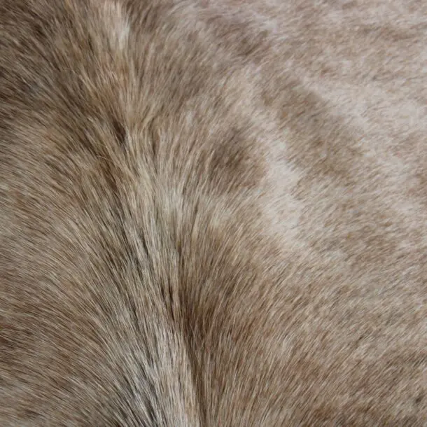 Cowhide Rug Exotic Beige C01085