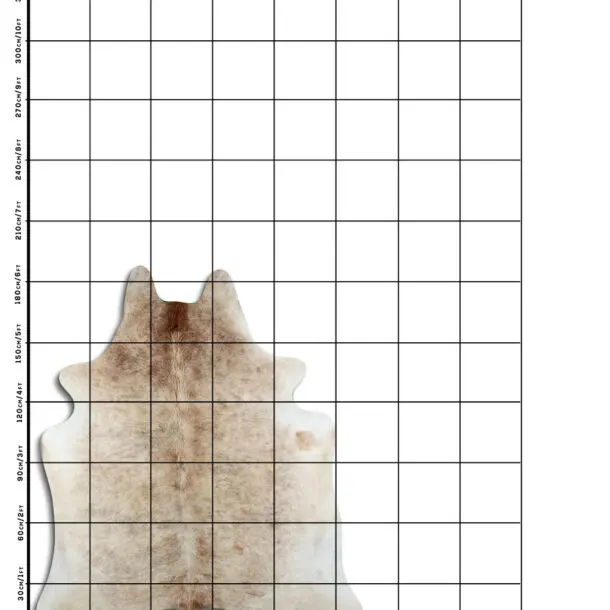 Cowhide Rug Exotic Beige C01085